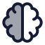 Aibrain icon with duotone rounded style