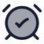 Alarmclockcheck icon with duotone rounded style