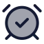 Alarmclockcheck icon with duotone standard style