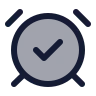 Alarm Clock Check icon preview