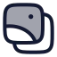 Album icon with duotone rounded style