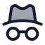 Anonymous icon with duotone standard style