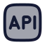 Api icon with duotone rounded style