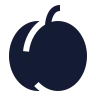 Apricot icon preview