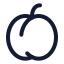 Apricot icon with stroke rounded style