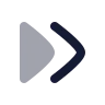 Arrow Right Double icon preview