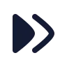 Arrow Right Double icon preview
