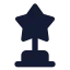 Award icon with solid standard style