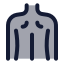 Backmusclebody icon with duotone rounded style