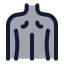 Backmusclebody icon with duotone rounded style