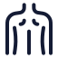 Backmusclebody icon with stroke rounded style