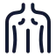Backmusclebody icon with stroke rounded style