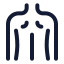 Backmusclebody icon with stroke standard style