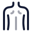 Backmusclebody icon with twotone rounded style