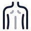 Backmusclebody icon with twotone rounded style