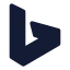 Bing icon with solid standard style