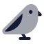 Bird icon with bulk rounded style