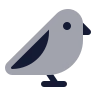 Bird icon preview