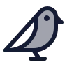 Bird icon preview