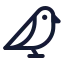Bird icon with stroke standard style
