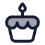 Birthdaycake icon with duotone standard style