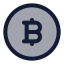 Bitcoincircle icon with duotone standard style