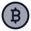 Bitcoinellipse icon with duotone standard style
