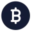 Bitcoinellipse icon with solid standard style