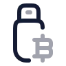 Bitcoin Flashdisk icon preview