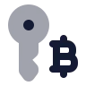 Bitcoin Key icon preview