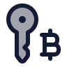 Bitcoin Key icon preview