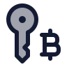 Bitcoin Key icon preview