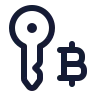 Bitcoin Key icon preview