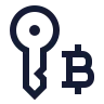 Bitcoin Key icon preview