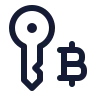 Bitcoin Key icon preview