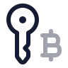 Bitcoin Key icon preview
