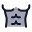 Bodypartsixpack icon with duotone rounded style