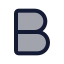 Bold icon with duotone standard style