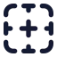 Bordernone icon with solid standard style