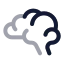 Brain icon with twotone rounded style