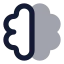 Brain icon with bulk rounded style