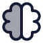 Brain icon with duotone standard style