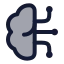 Braincircuit icon with duotone rounded style