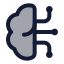 Braincircuit icon with duotone standard style