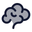Brain icon with duotone rounded style
