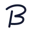 Brandfetch icon with duotone standard style