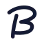 Brandfetch icon with solid rounded style