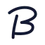 Brandfetch icon with stroke rounded style