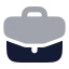 Briefcasebusiness icon with bulk rounded style