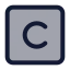 Cprogramming icon with duotone standard style